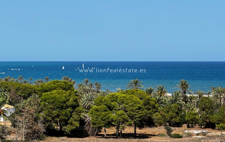 Apartment / flat - Resale - Torrevieja - LS-0308