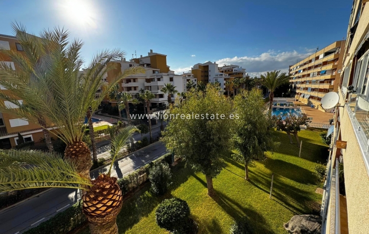 Apartment / flat - Resale - Torrevieja - LS-1701