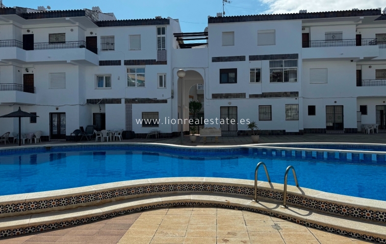 Apartment / flat - Short Term Rental - Punta Prima - Punta Prima
