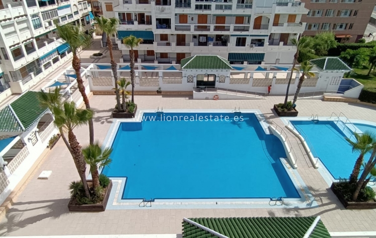 Apartment / flat - Short Term Rental - Torrevieja - LR-0407C