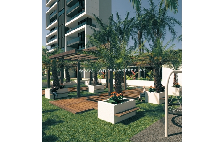 Daszek - Nowy budynek - Benidorm - Benidorm