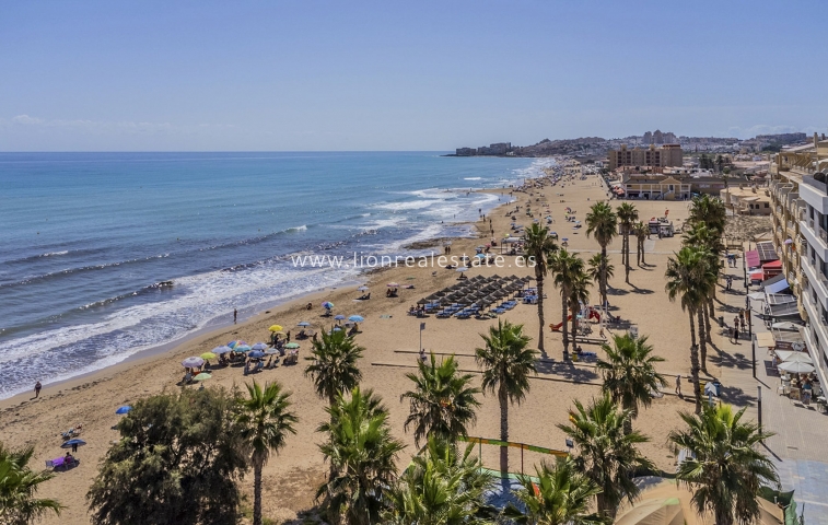 Daszek - Nowy budynek - La Mata - La Mata