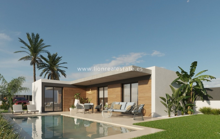 detached - New Build - Molina De Segura - Molina de Segura
