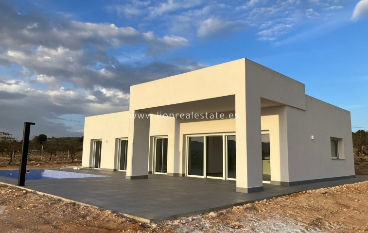detached - New Build - Pinoso - Pinoso