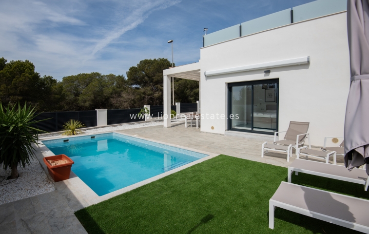 detached - Nowy budynek - Pinar de Campoverde - HH-99855