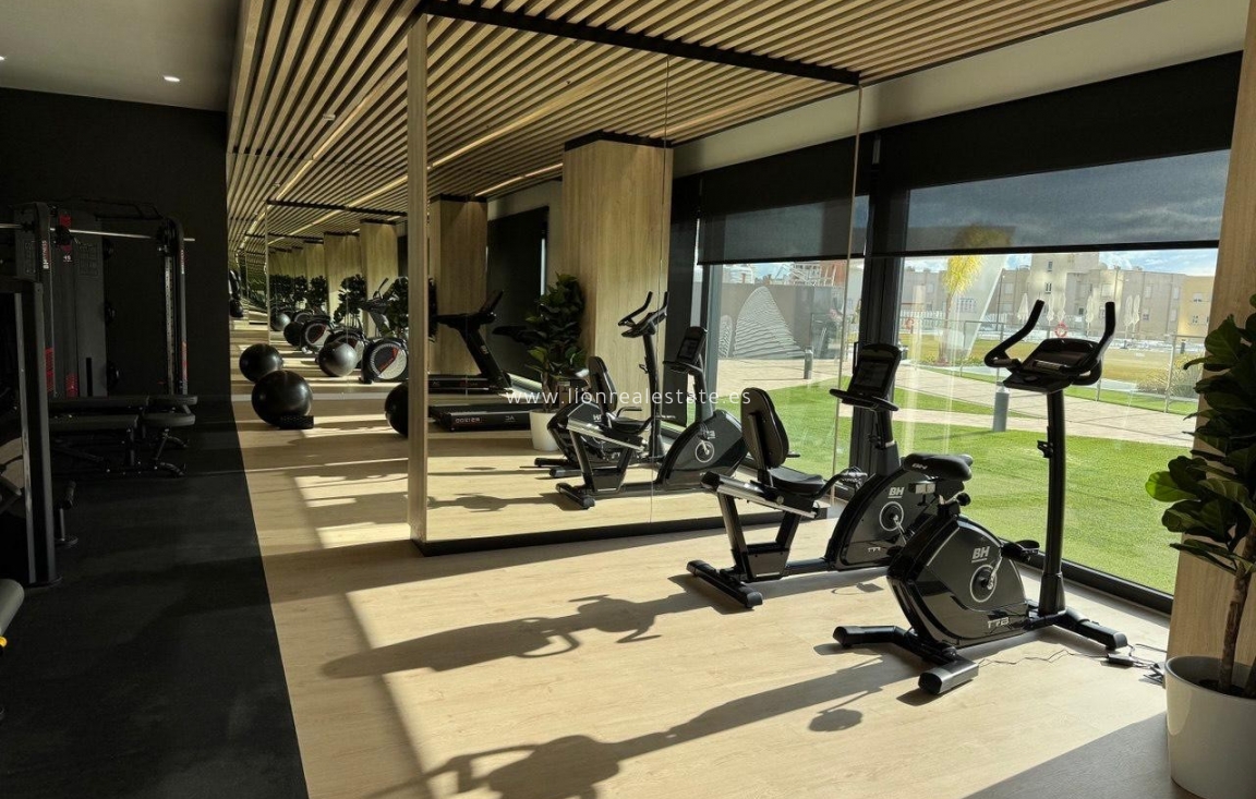 Долгосрочная аренда - Квартира / квартира - Benidorm - Playa Poniente