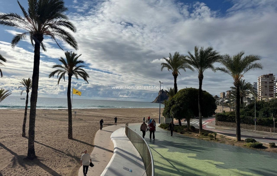 Долгосрочная аренда - Квартира / квартира - Benidorm - Playa Poniente