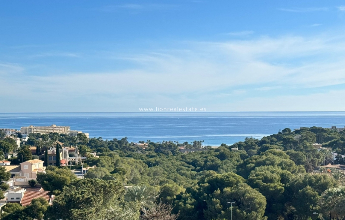 Долгосрочная аренда - Квартира / квартира - Dehesa de Campoamor - Dehesa de campoamor