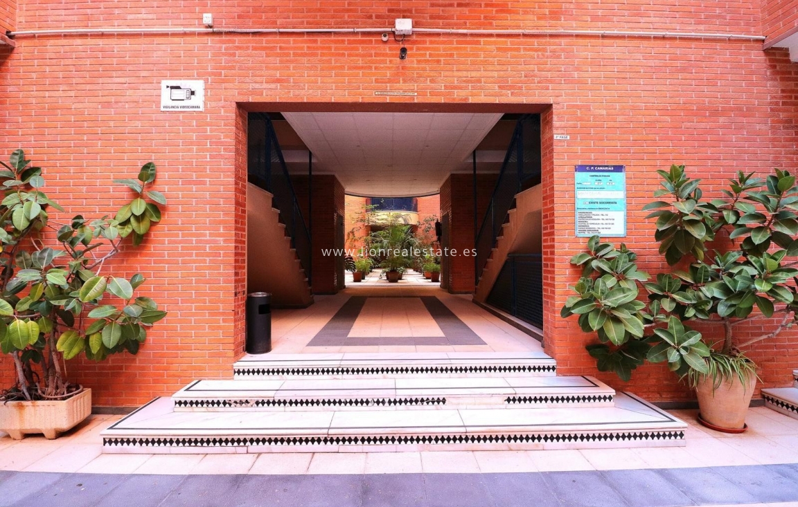 Долгосрочная аренда - Квартира / квартира - Torrevieja - Acequion