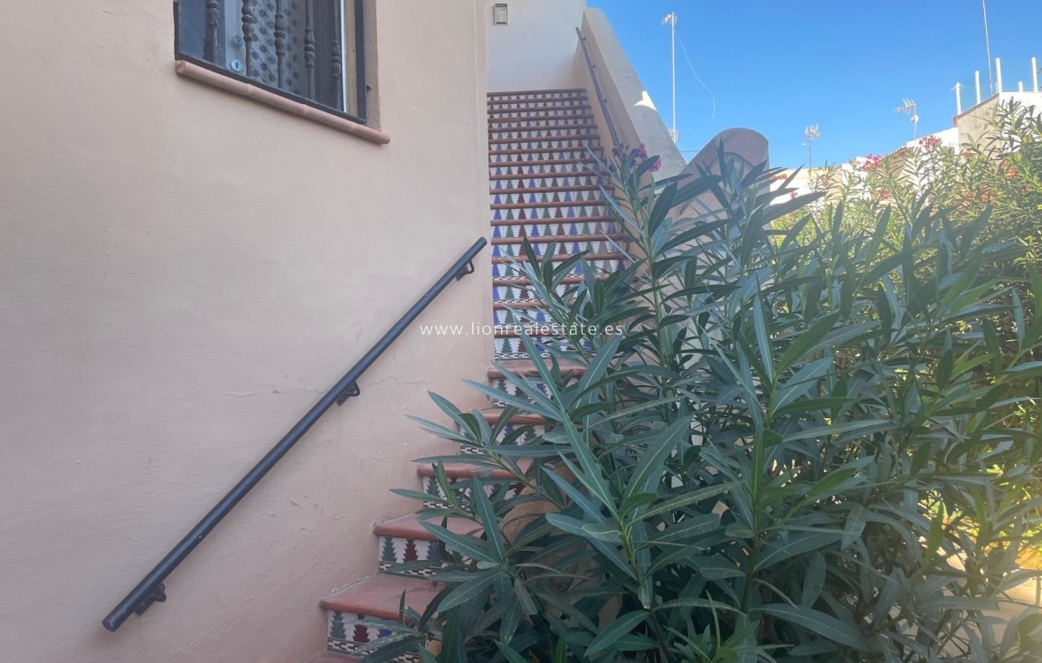 Долгосрочная аренда - Квартира / квартира - Torrevieja - Los Locos