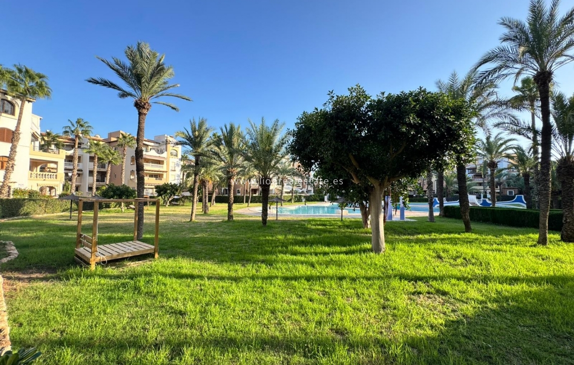 Долгосрочная аренда - Квартира / квартира - Torrevieja - Los Locos