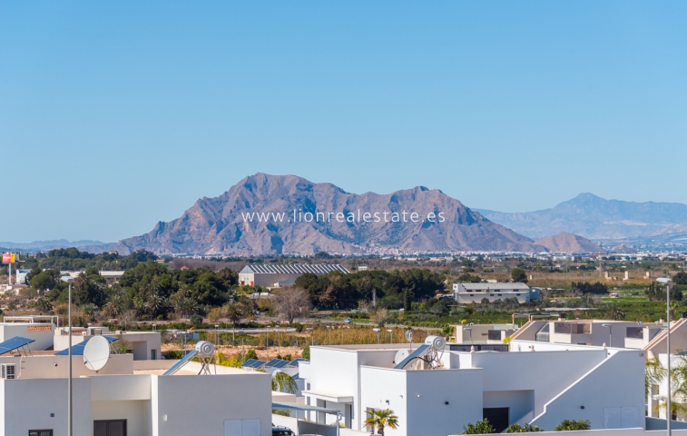 ground-floor - New Build - Benijofar - Benijófar