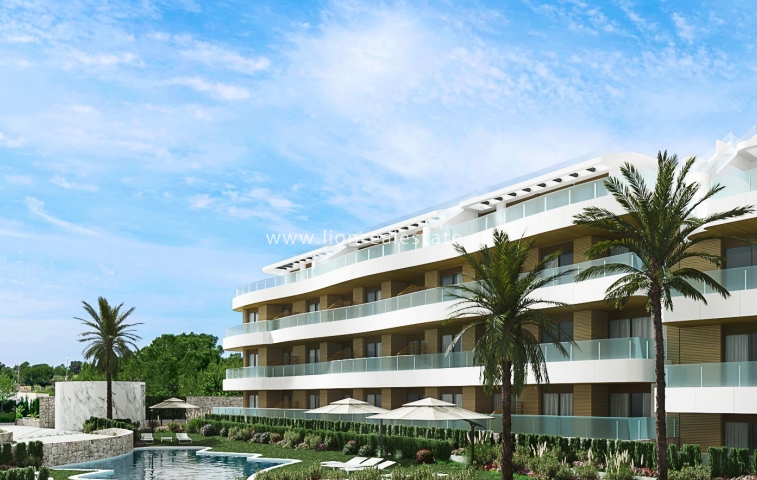 ground-floor - Новое здание - Playa Flamenca - HH-44433