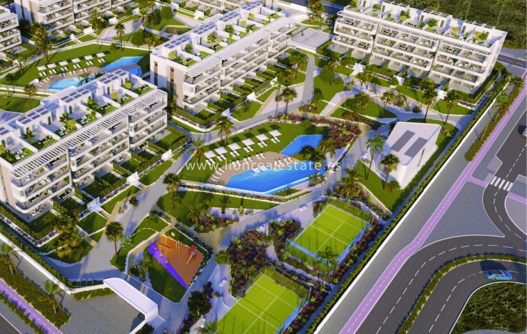 ground-floor - Новое здание - Torrevieja - Torrevieja