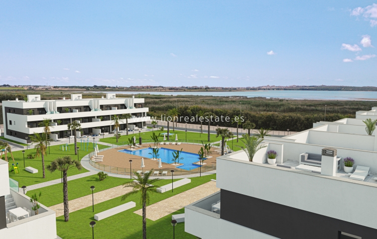 ground-floor - Nowy budynek - Guardamar del Segura - Guardamar del Segura