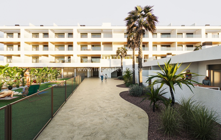 ground-floor - Nowy budynek - Torrevieja - Torrevieja