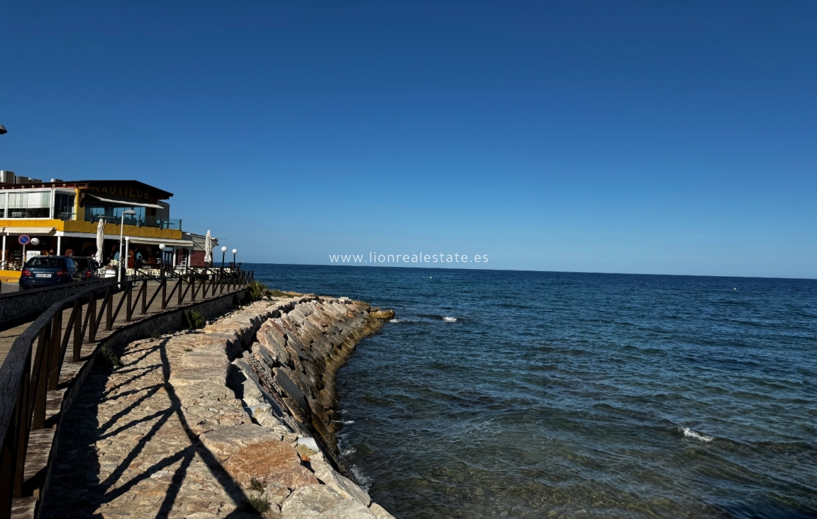 Краткосрочная аренда - Квартира / квартира - Torrevieja - Punta Prima