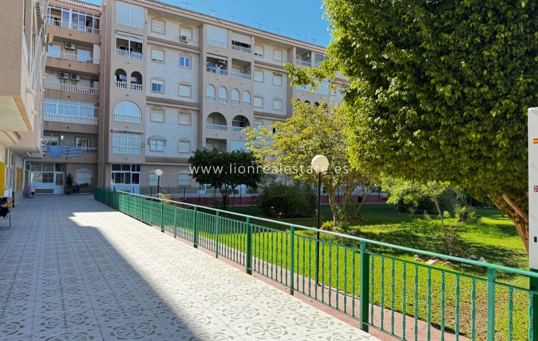 Квартира / квартира - Перепродажа - Torrevieja - El Acequión - Los Náufragos