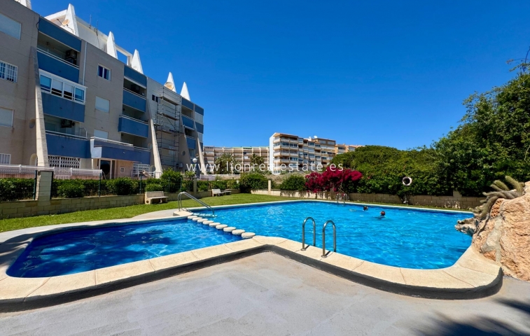 Квартира / квартира - Перепродажа - Torrevieja - Gaspar Perrelló