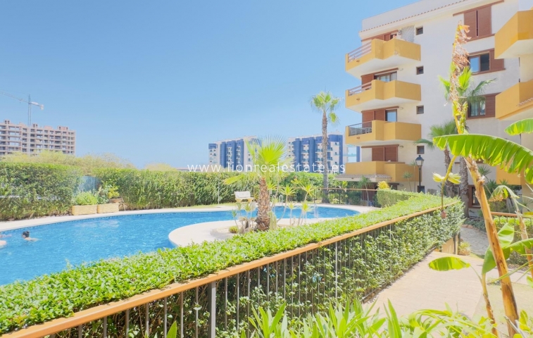Квартира / квартира - Перепродажа - Torrevieja - LS-0807