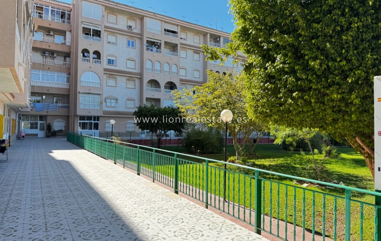 Квартира / квартира - Перепродажа - Torrevieja - LS-1610