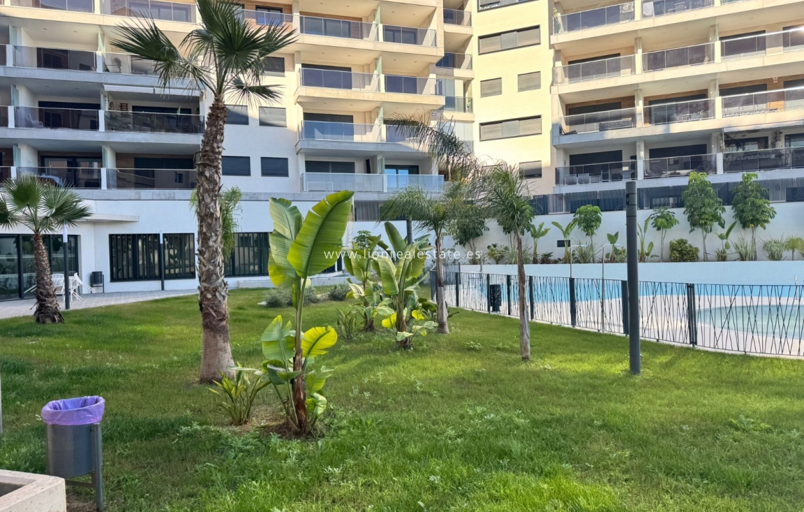 Long Term Rental - Apartment / flat - Dehesa de Campoamor