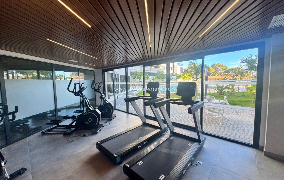 Long Term Rental - Apartment / flat - Dehesa de Campoamor