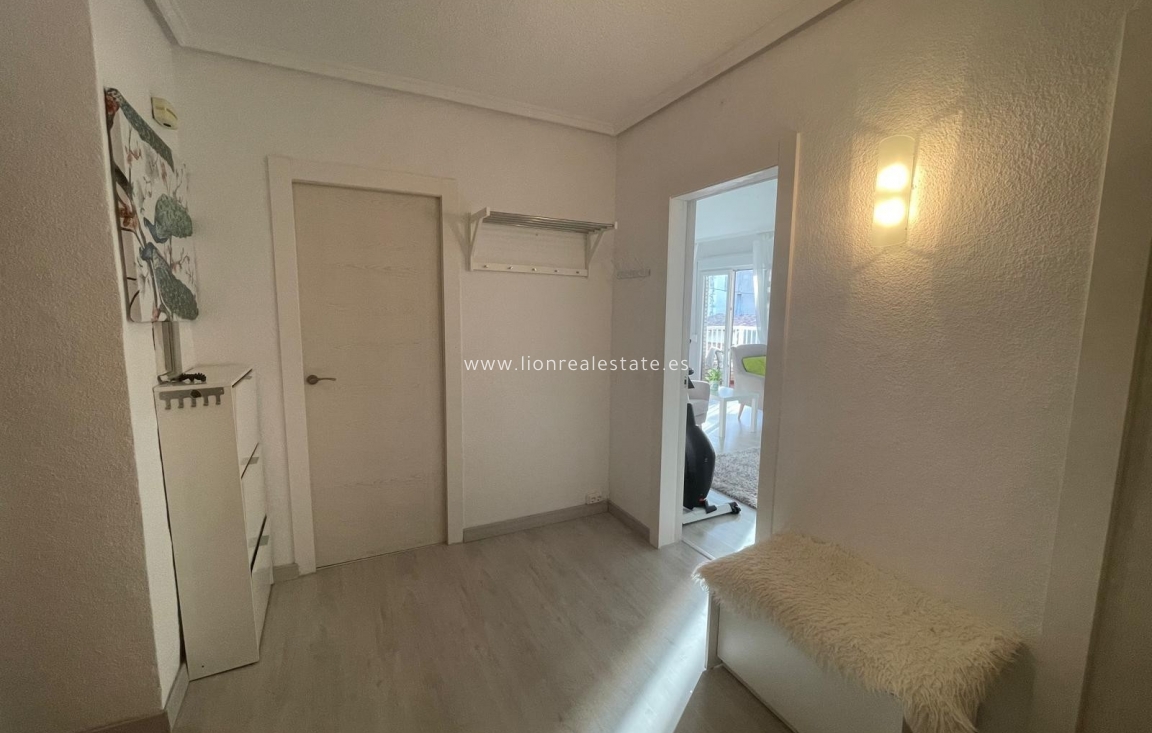 Long Term Rental - Apartment / flat - Guardamar del Segura - Pueblo