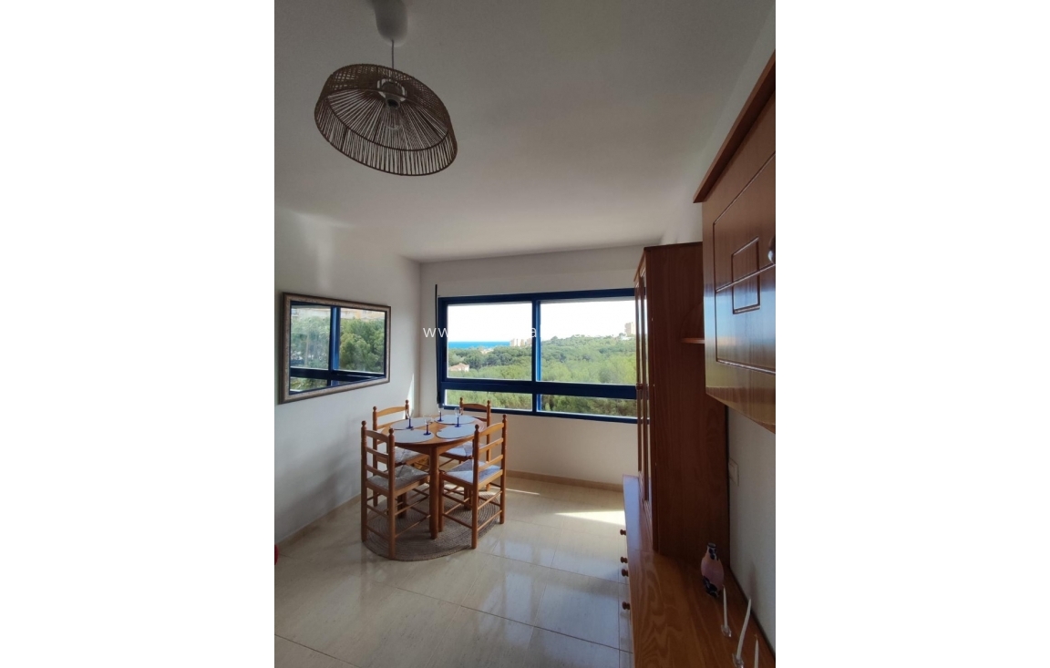 Long Term Rental - Apartment / flat - Orihuela Costa - Campoamor