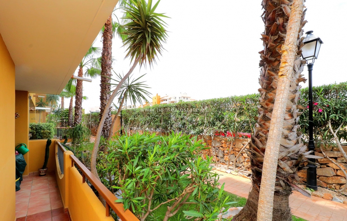 Long Term Rental - Apartment / flat - Orihuela Costa - Punta Prima