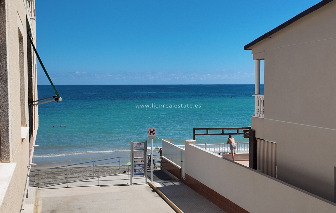 Long Term Rental - Apartment / flat - Pilar de la Horadada - Torre de la Horadada