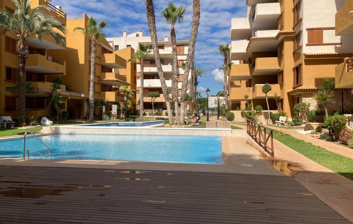 Long Term Rental - Apartment / flat - Punta Prima