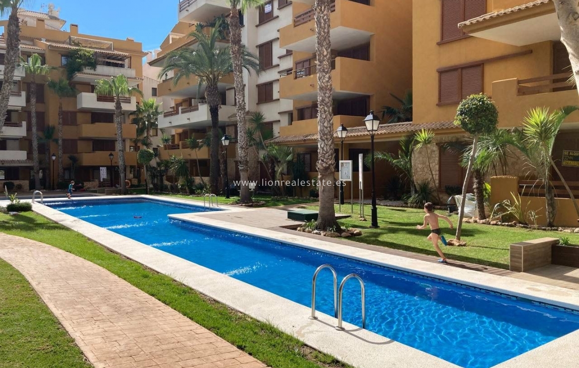 Long Term Rental - Apartment / flat - Punta Prima