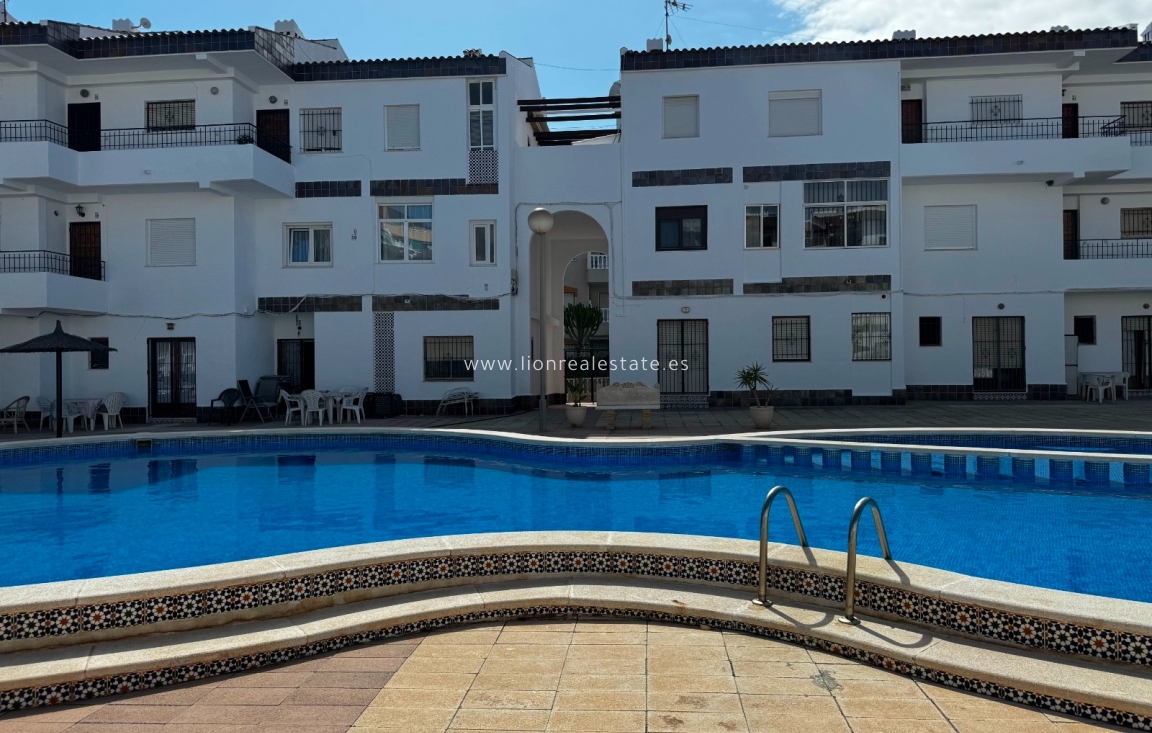 Long Term Rental - Apartment / flat - Punta Prima