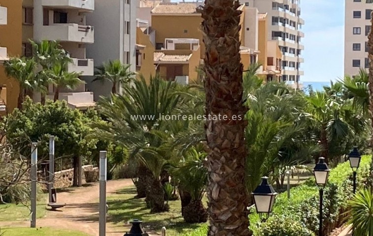 Long Term Rental - Apartment / flat - Punta Prima