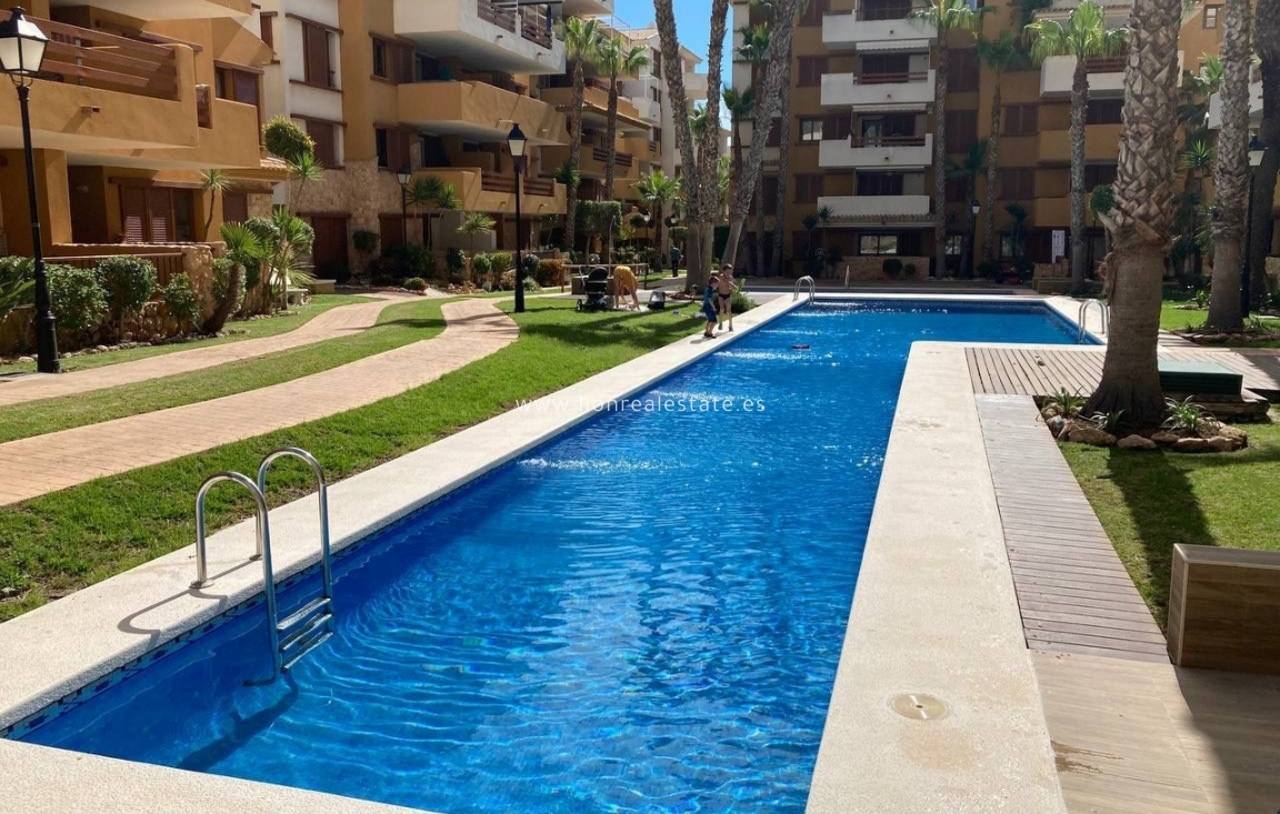 Long Term Rental - Apartment / flat - Punta Prima