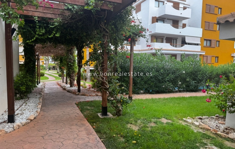 Long Term Rental - Apartment / flat - Punta Prima