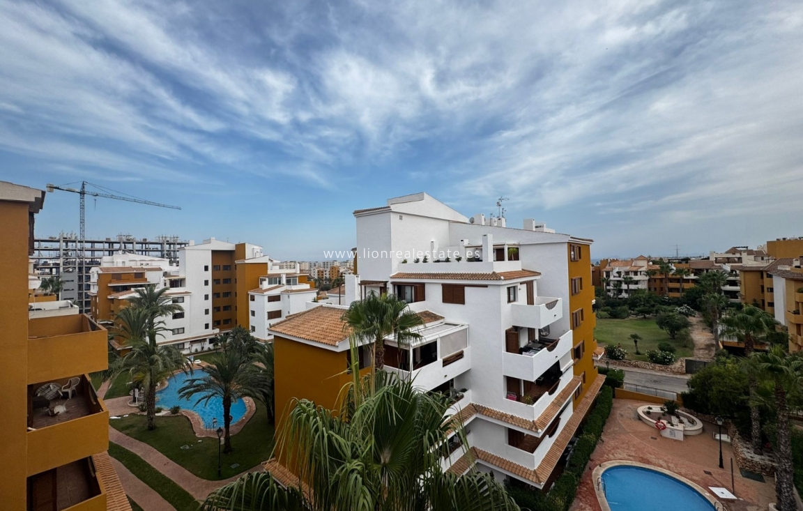 Long Term Rental - Apartment / flat - Punta Prima