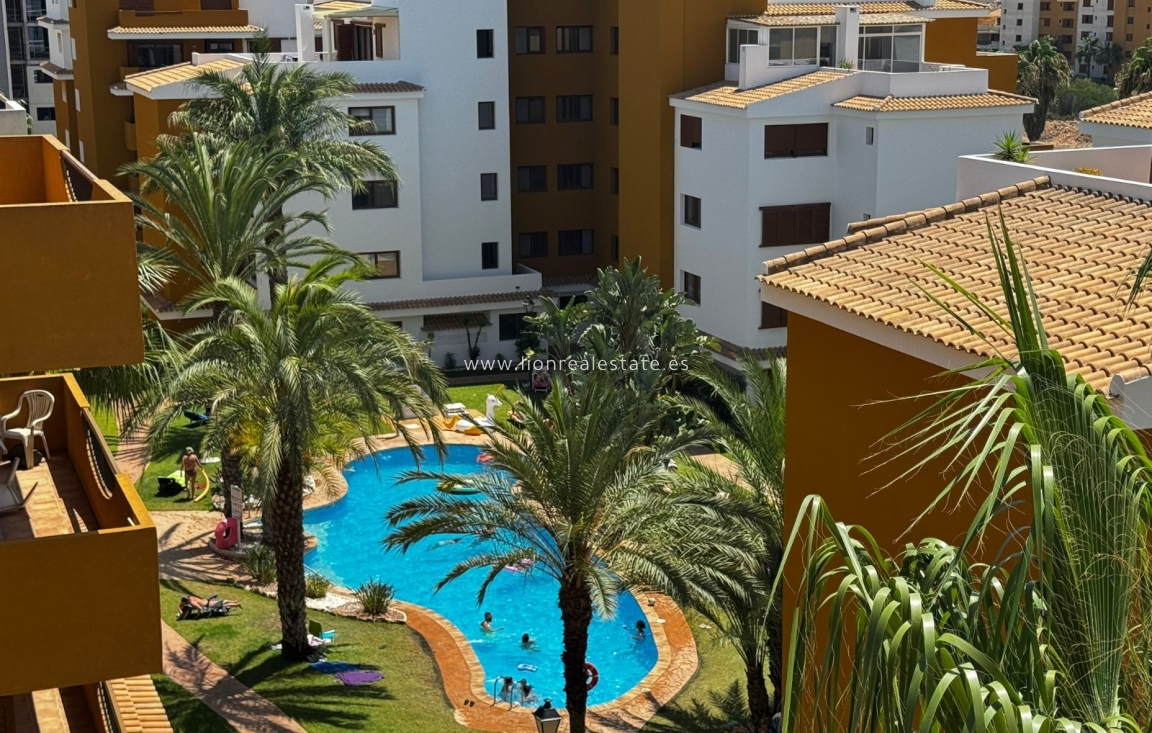 Long Term Rental - Apartment / flat - Punta Prima