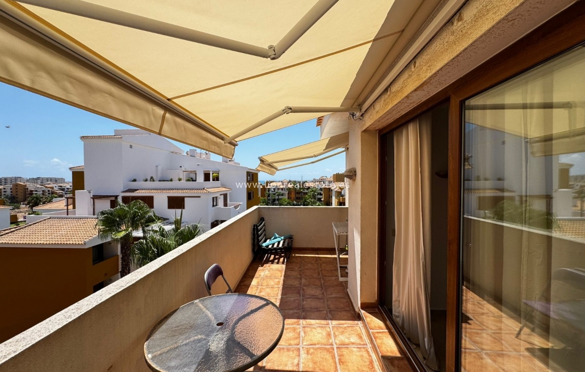 Long Term Rental - Apartment / flat - Punta Prima