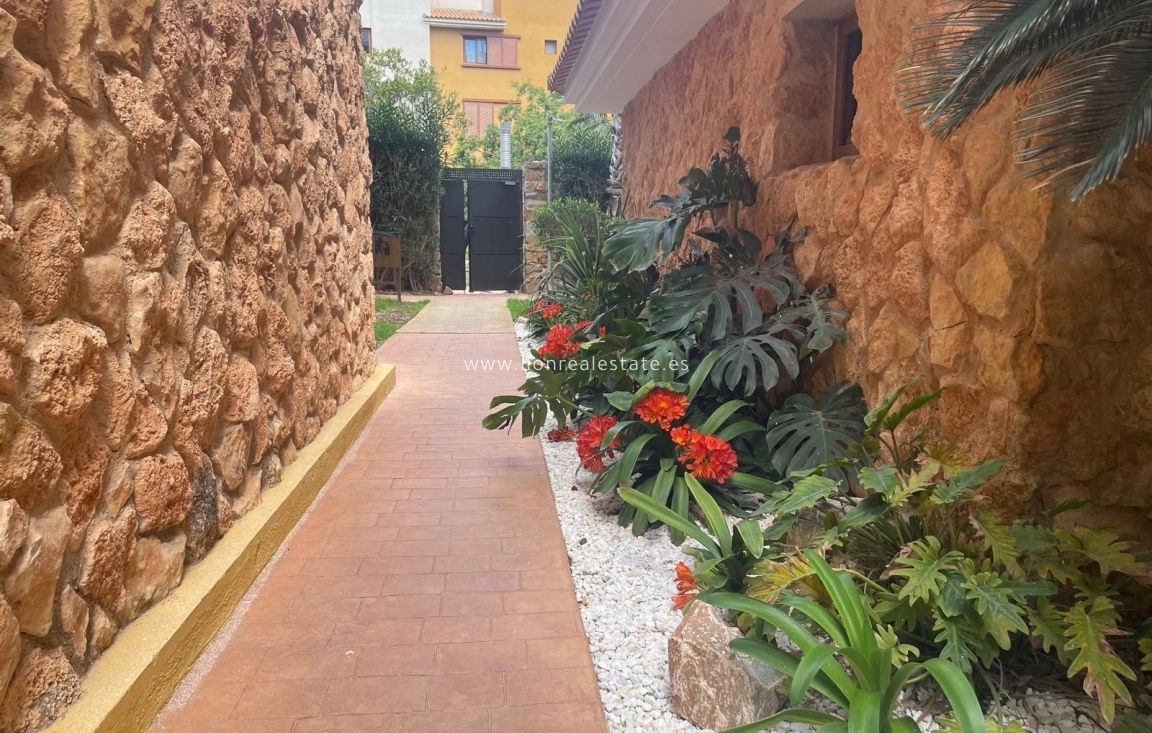 Long Term Rental - Apartment / flat - Punta Prima