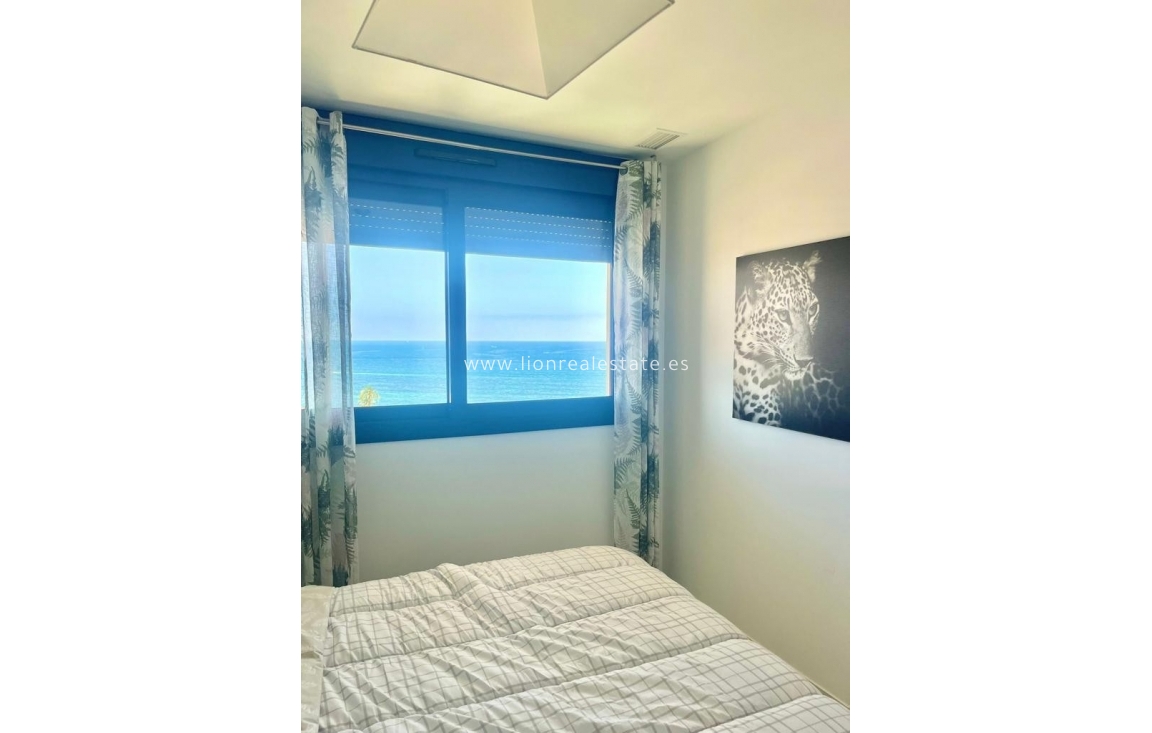 Long Term Rental - Apartment / flat - Punta Prima