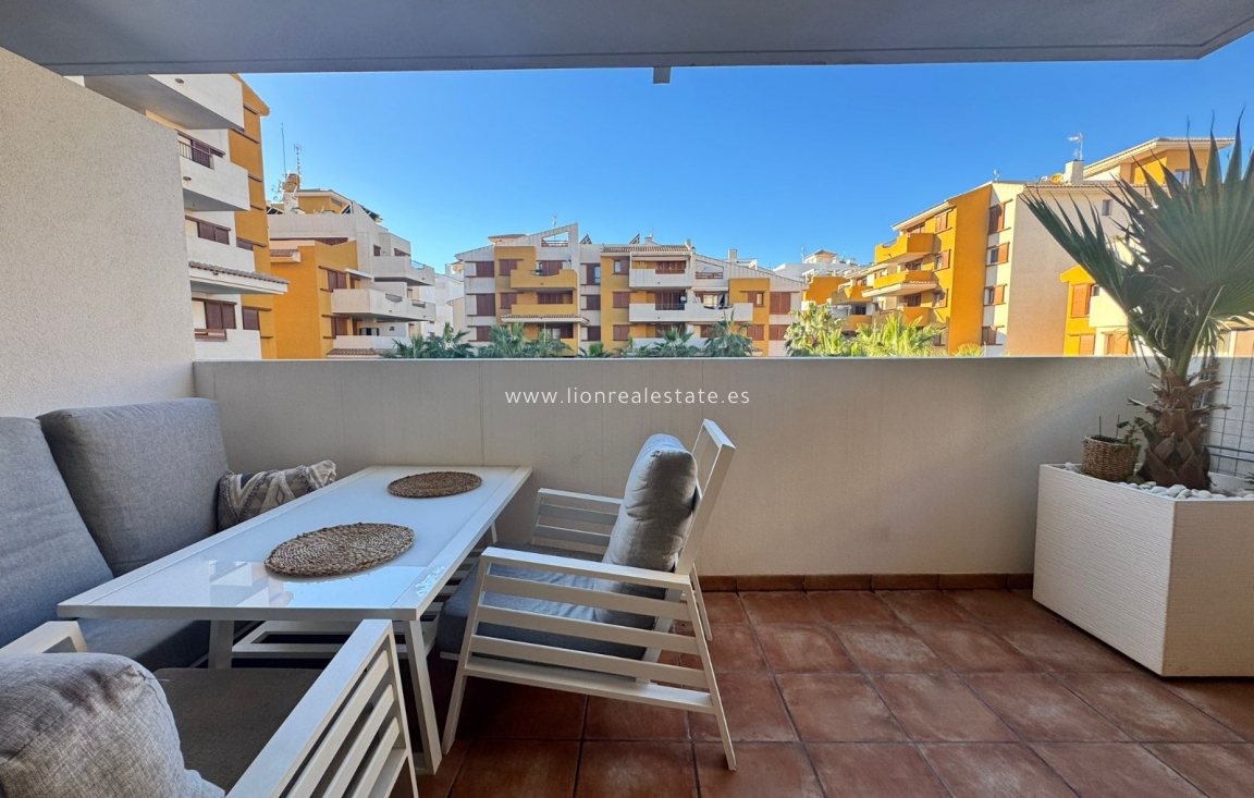 Long Term Rental - Apartment / flat - Punta Prima