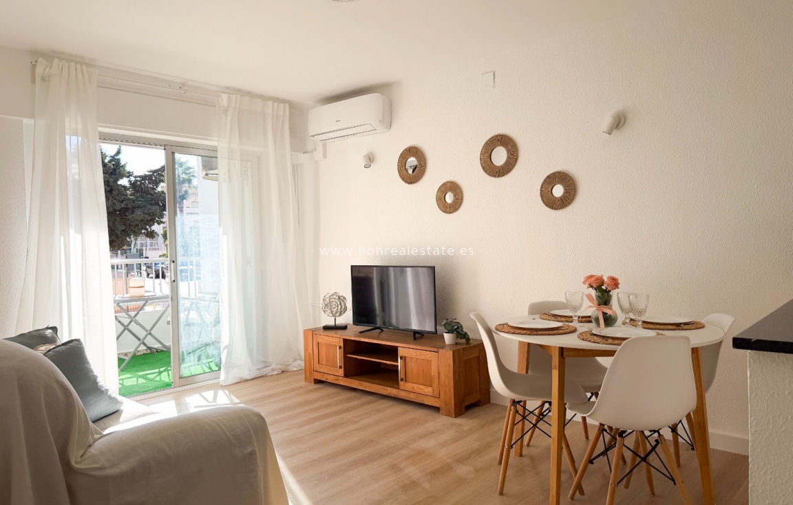 Long Term Rental - Apartment / flat - Punta Prima