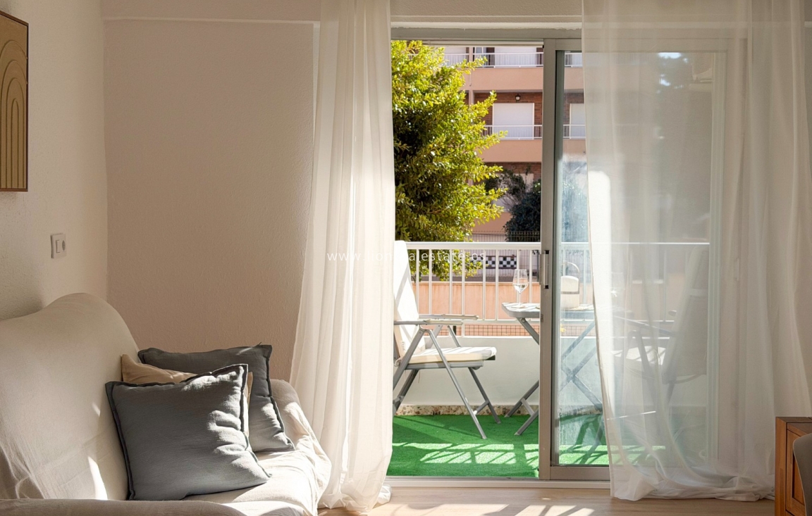 Long Term Rental - Apartment / flat - Punta Prima