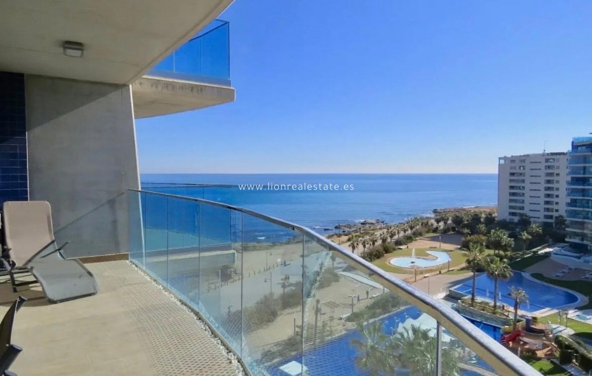 Long Term Rental - Apartment / flat - Punta Prima