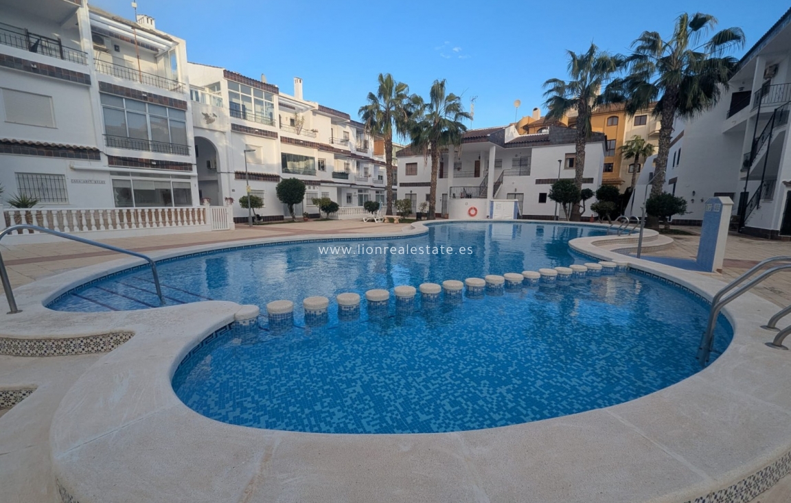 Long Term Rental - Apartment / flat - Punta Prima