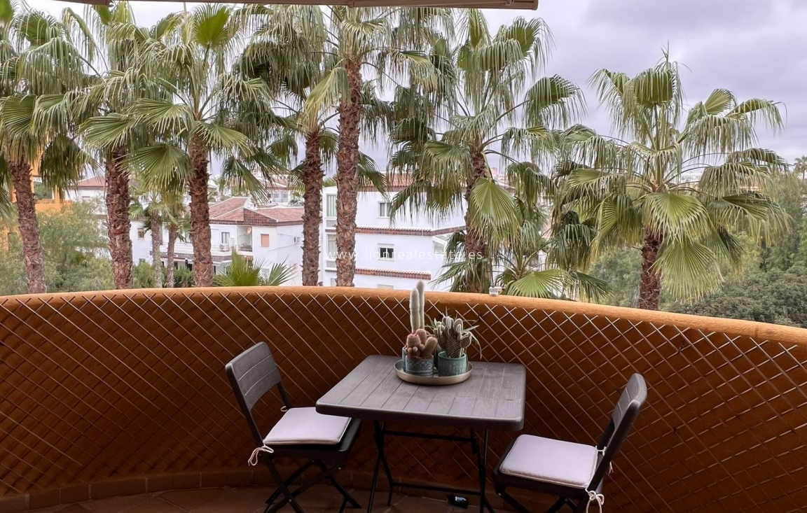 Long Term Rental - Apartment / flat - Punta Prima