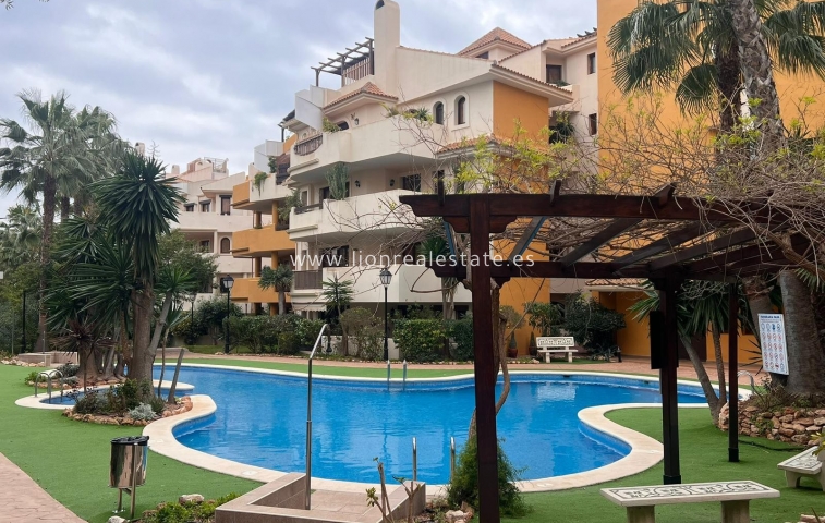 Long Term Rental - Apartment / flat - Punta Prima