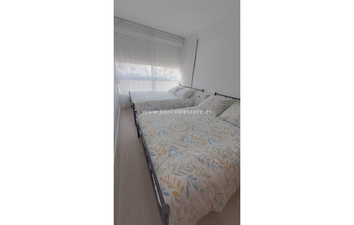 Long Term Rental - Apartment / flat - Punta Prima